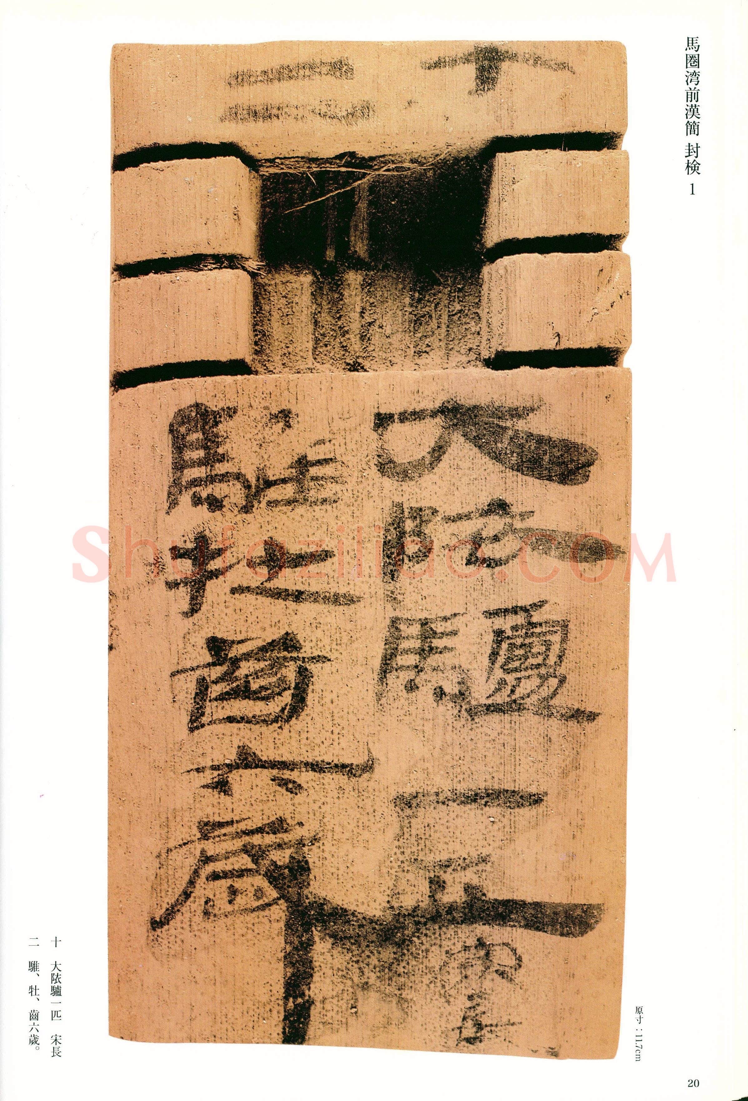敦煌马圈湾汉简敦煌书法作品,摘自东晋至北宋敦煌木简