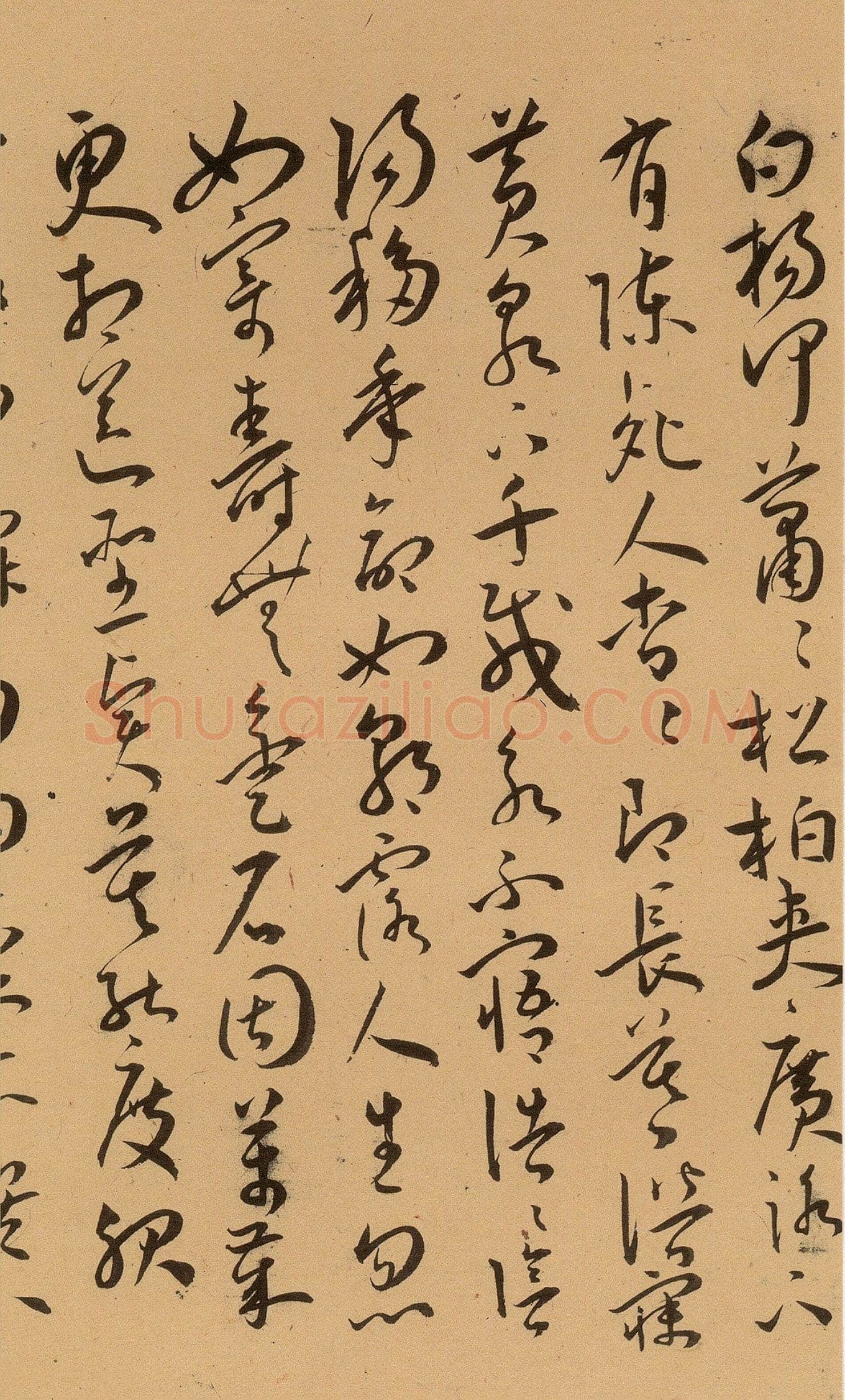 王宠《草书古诗十九首卷》纸本 草书 29.3×380.1cm 上海博物馆藏