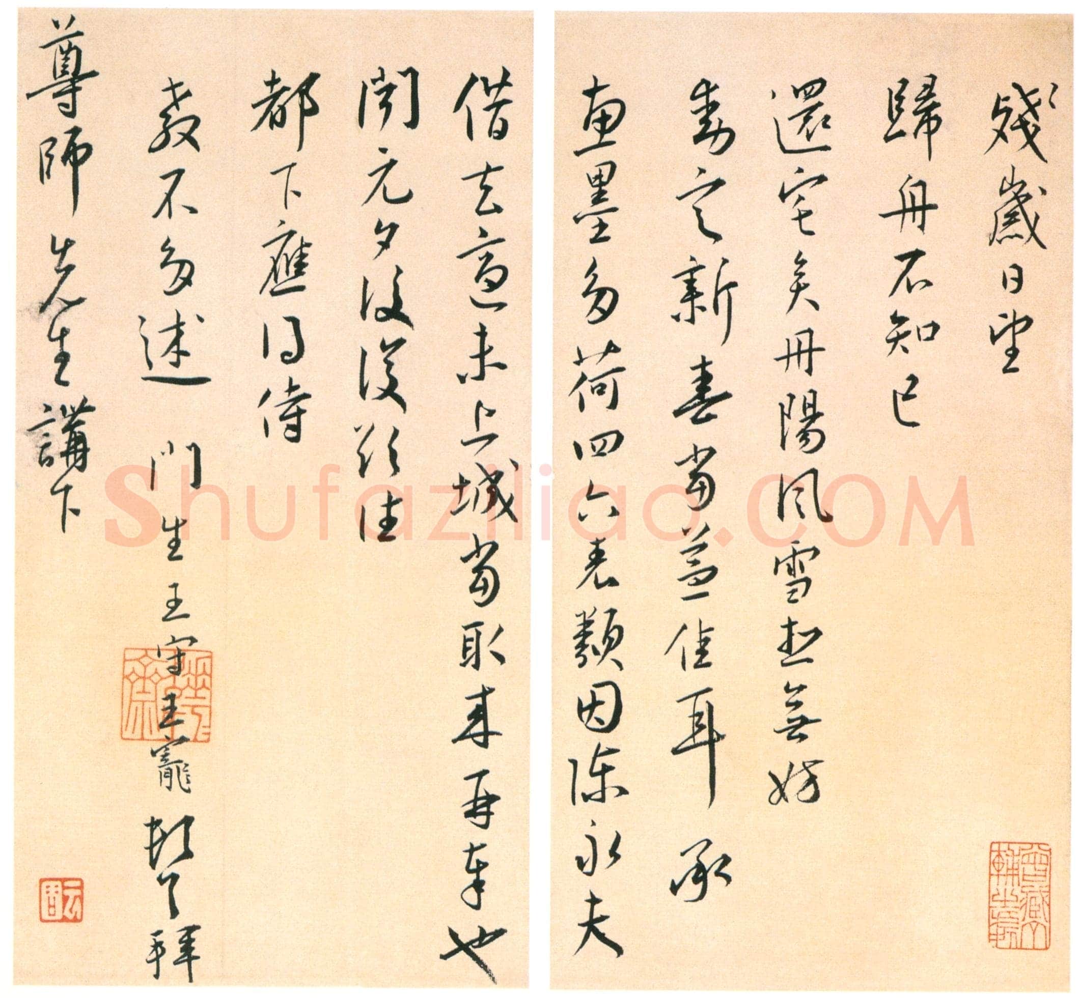 王宠《致尊师书札》页 纸本 行草书 22.7×12.2 cm×2 浙江省博物馆藏