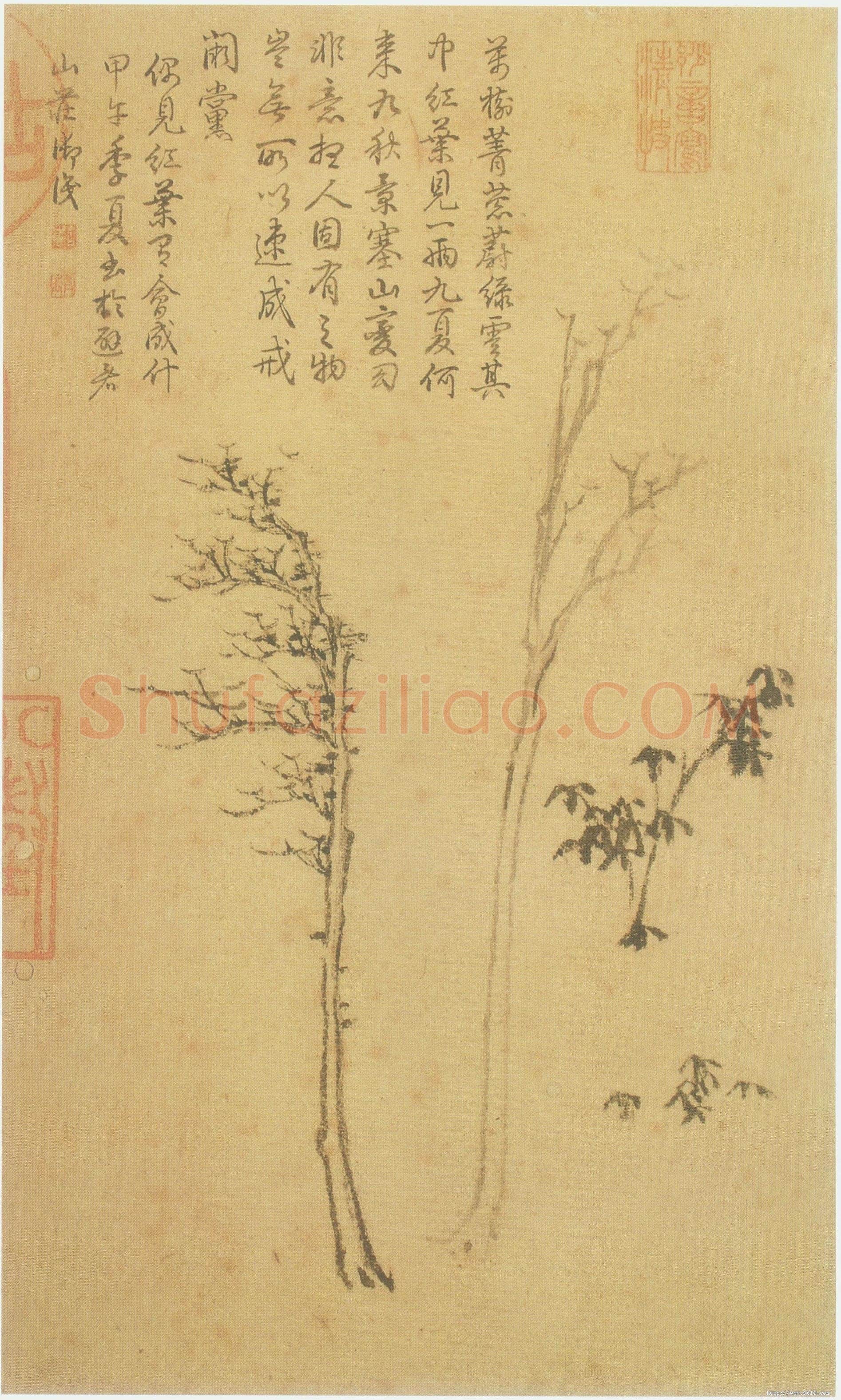 倪瓒云林画谱册