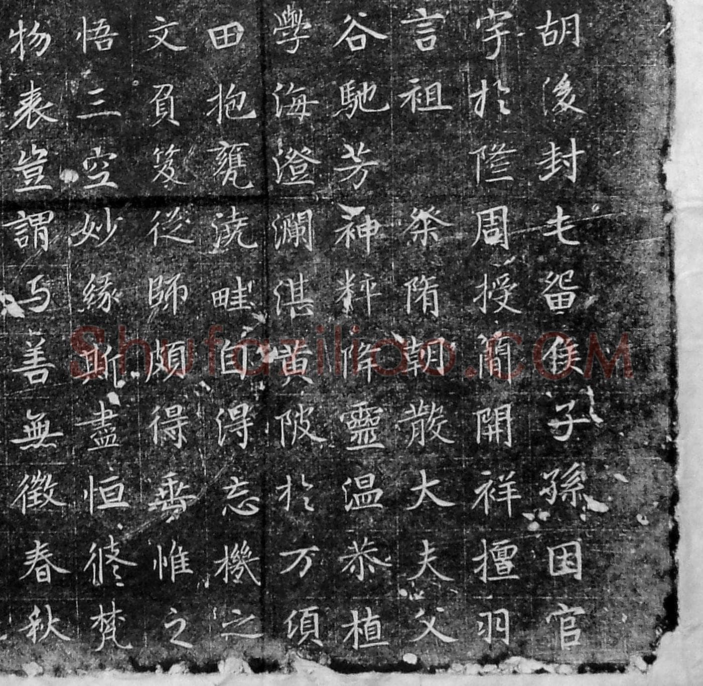 董秀墓志唐故董府君墓志铭,摘自唐朝董秀墓志