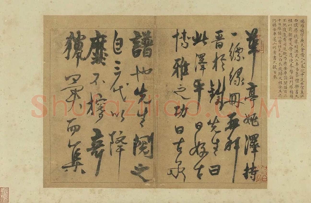 杨维桢草书册页《书跋语册》_01