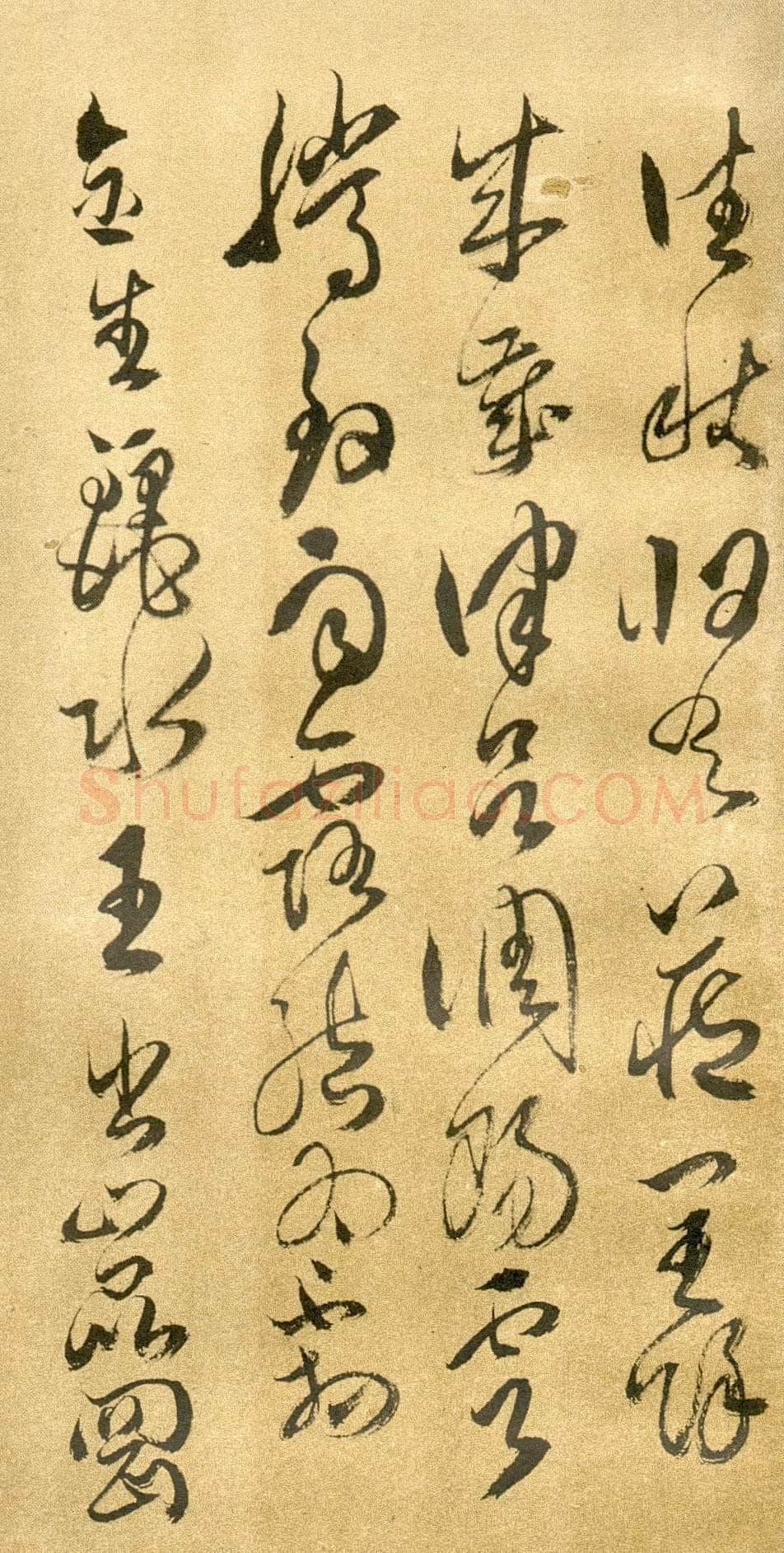 傅山《草书千字文》册 共12页 纸本 24.5×13cm 山西省博物院藏