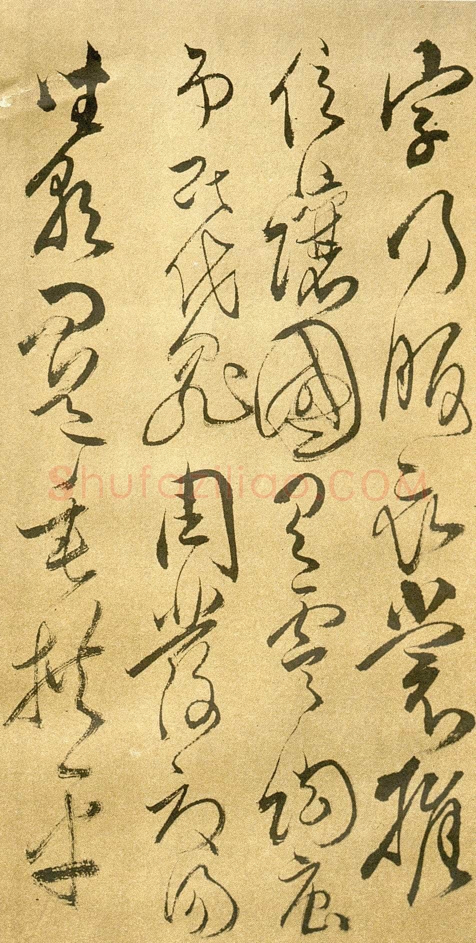 傅山《草书千字文》册 共12页 纸本 24.5×13cm 山西省博物院藏