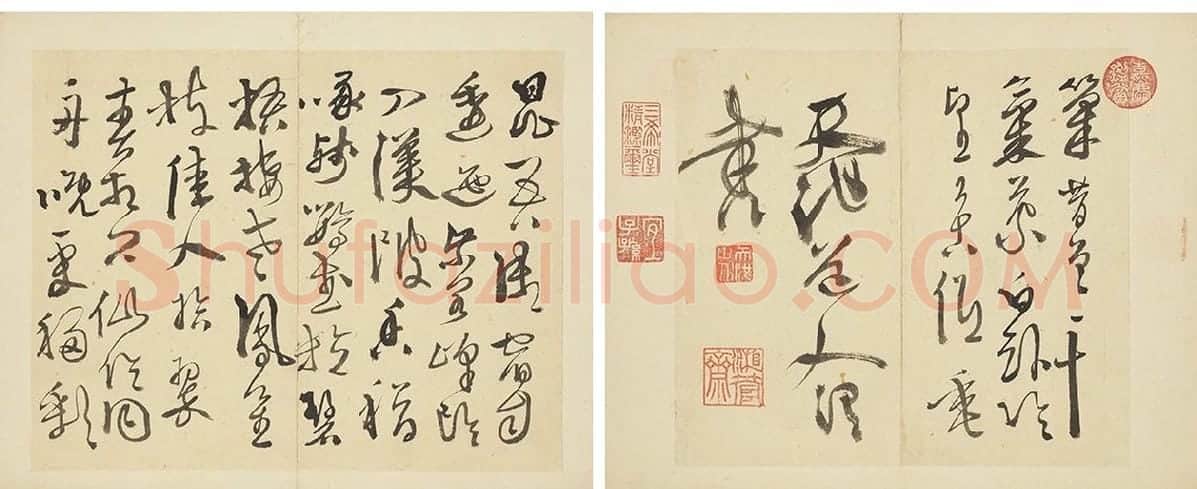 徐渭行草书《书杜甫秋兴八首》_06