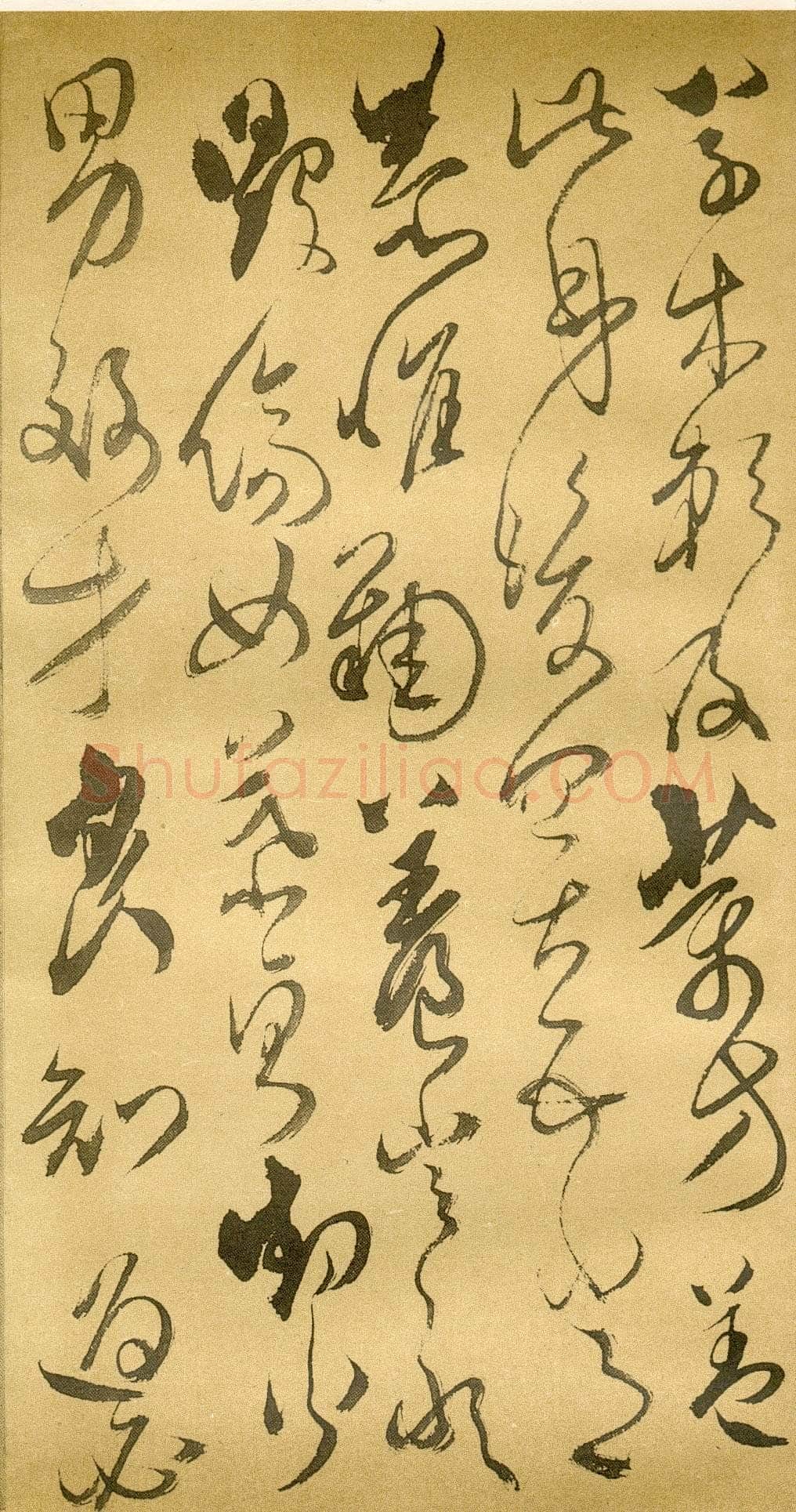 傅山《草书千字文》册 共12页 纸本 24.5×13cm 山西省博物院藏