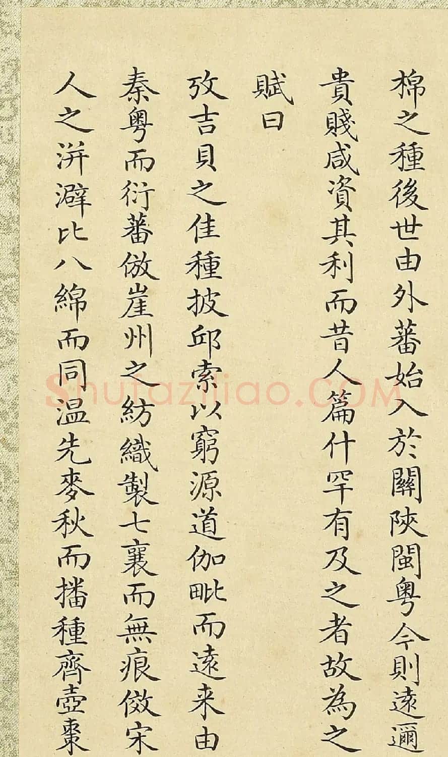 清直隶总督方观承小楷《御制木棉赋》 | 书法作品鉴赏