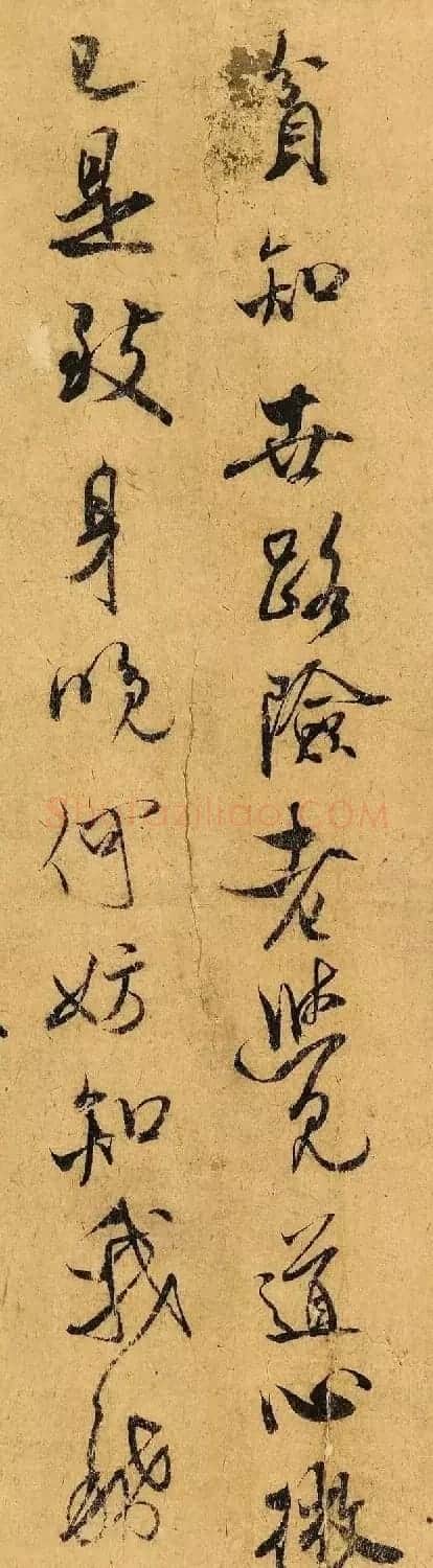米芾行书题跋苏轼《枯木怪石图》 | 毛笔书法作品