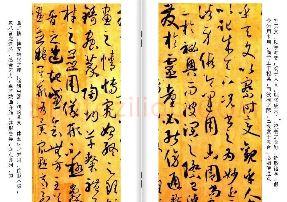 高清草书范本 孙过庭《书谱》全文今译 | 软笔草书字帖
