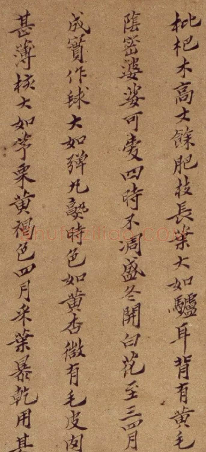 周淑禧、周淑祜两姐妹小楷《本草图》四条屏 | 传世书法作品精选
