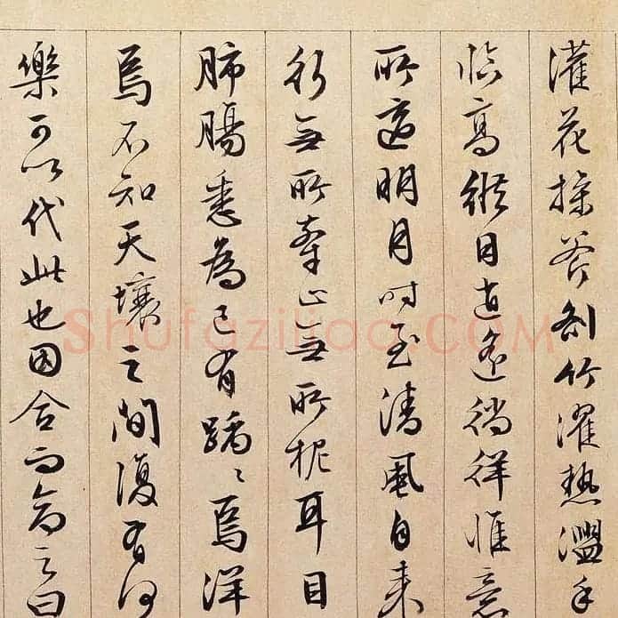 文徵明89岁行书长卷《独乐园图并书记》 | 书法长卷