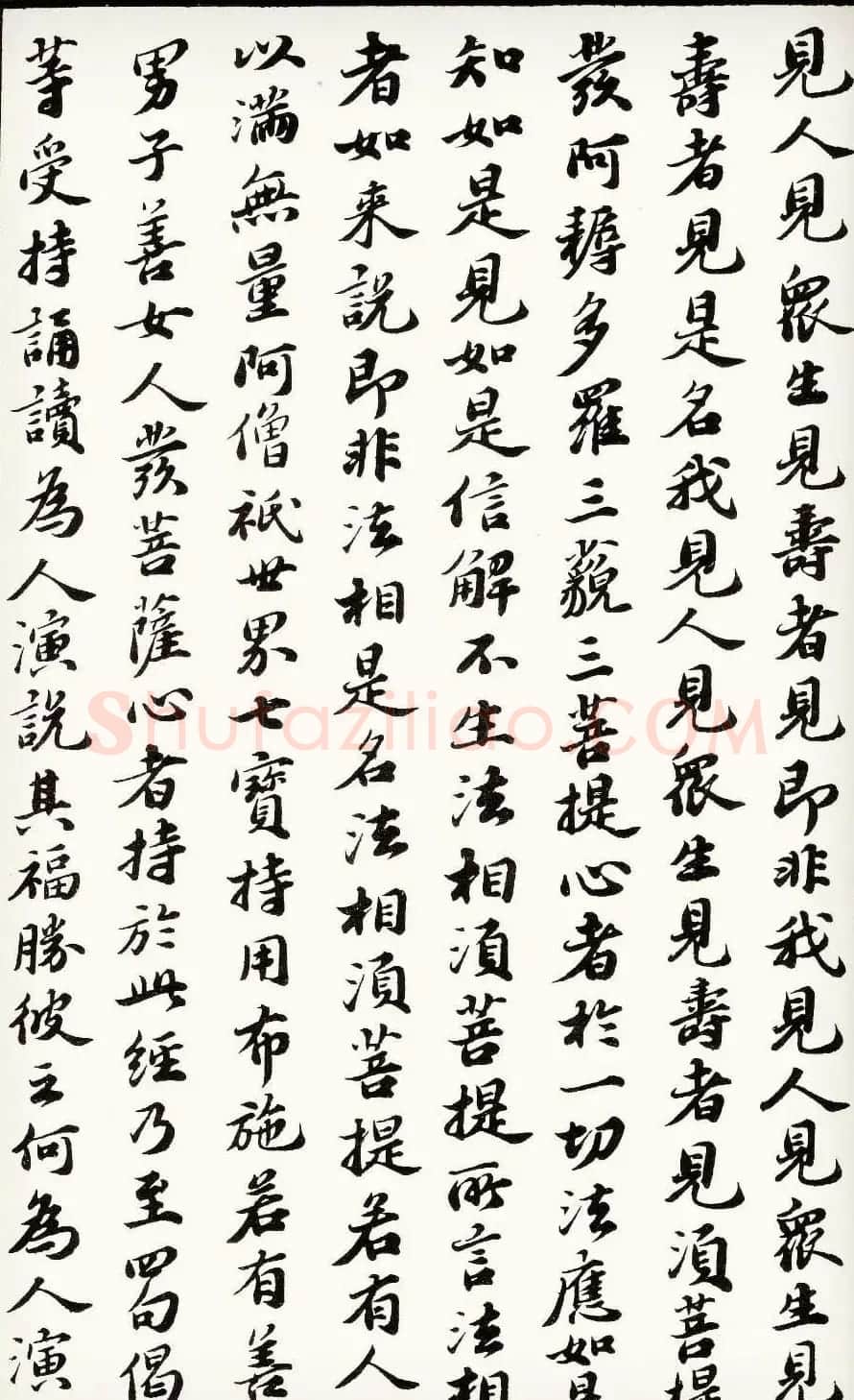 苏轼行楷书法欣赏《金刚经》全本 | 毛笔书法作品