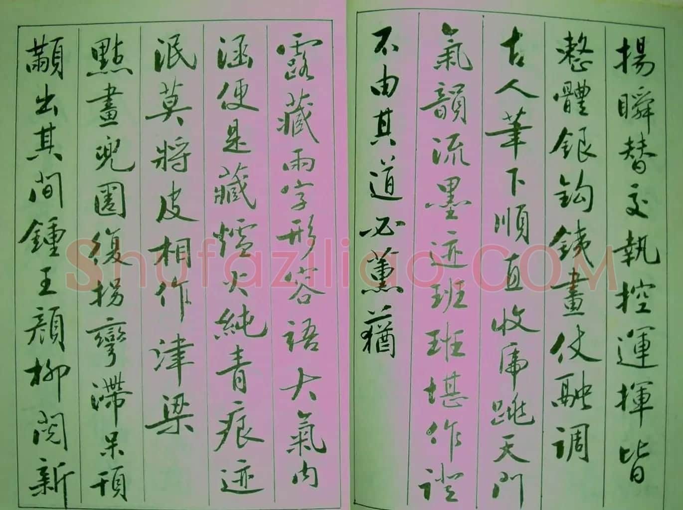 青少年行书范本《廖蕴玉著并书.论书七绝句一百首》 | 软笔行书字帖