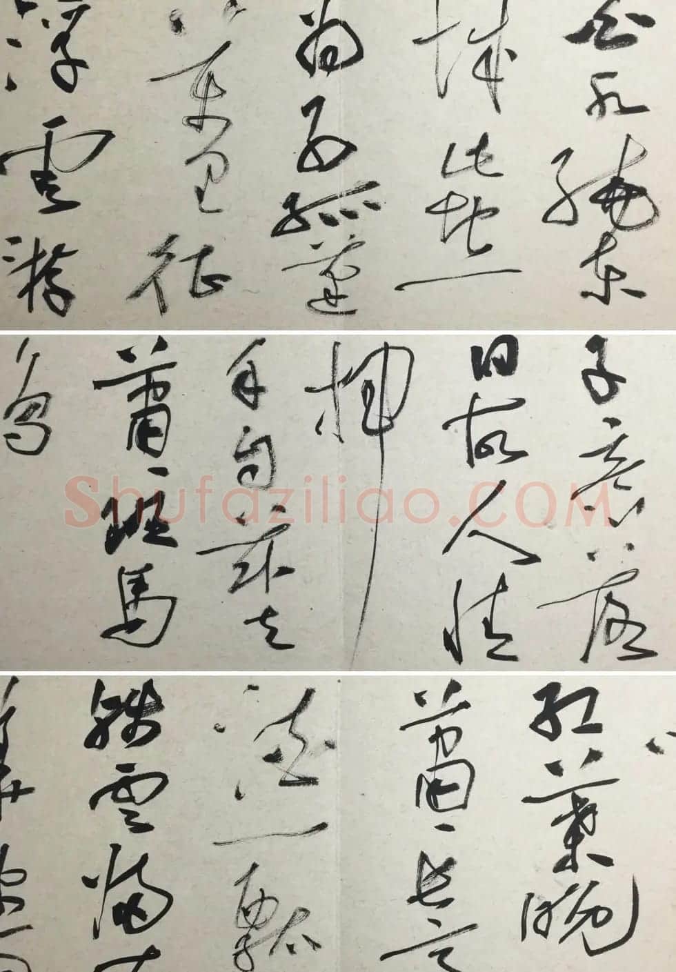 知镰草书册页《金泽珊大草诗册》 | 毛笔书法作品