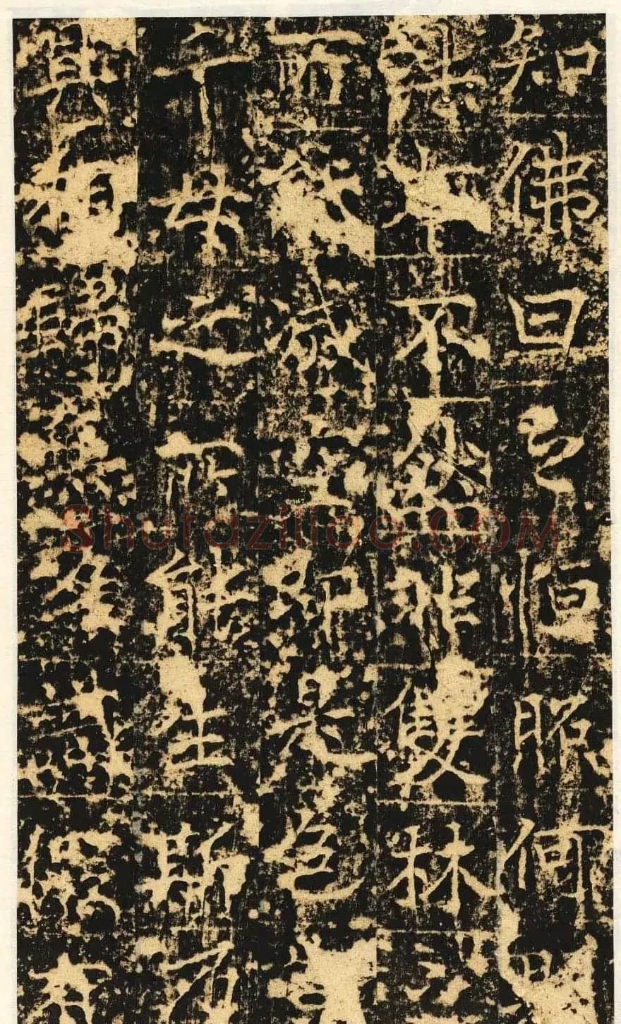 唐代楷书石刻《信法寺弥陀像碑》 | 书法碑帖