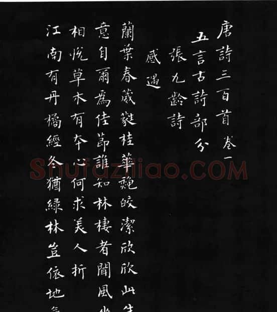 张瑞龄《唐诗三百首小楷墨迹》 | 软笔楷书字帖
