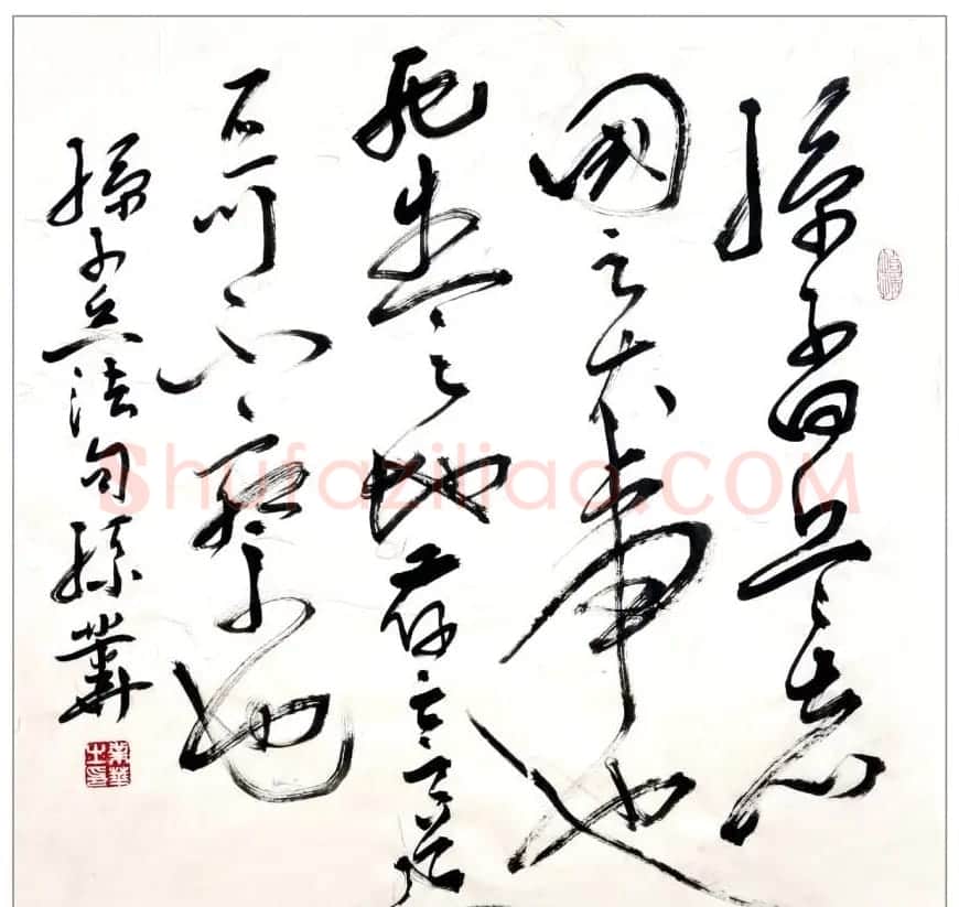 孙业华行书草书作品欣赏 | 书法作品欣赏