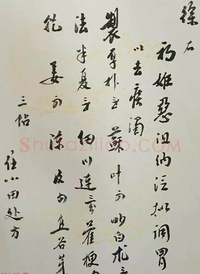 书法家亲手开方子附名医药方手迹 | 名家书法作品赏析