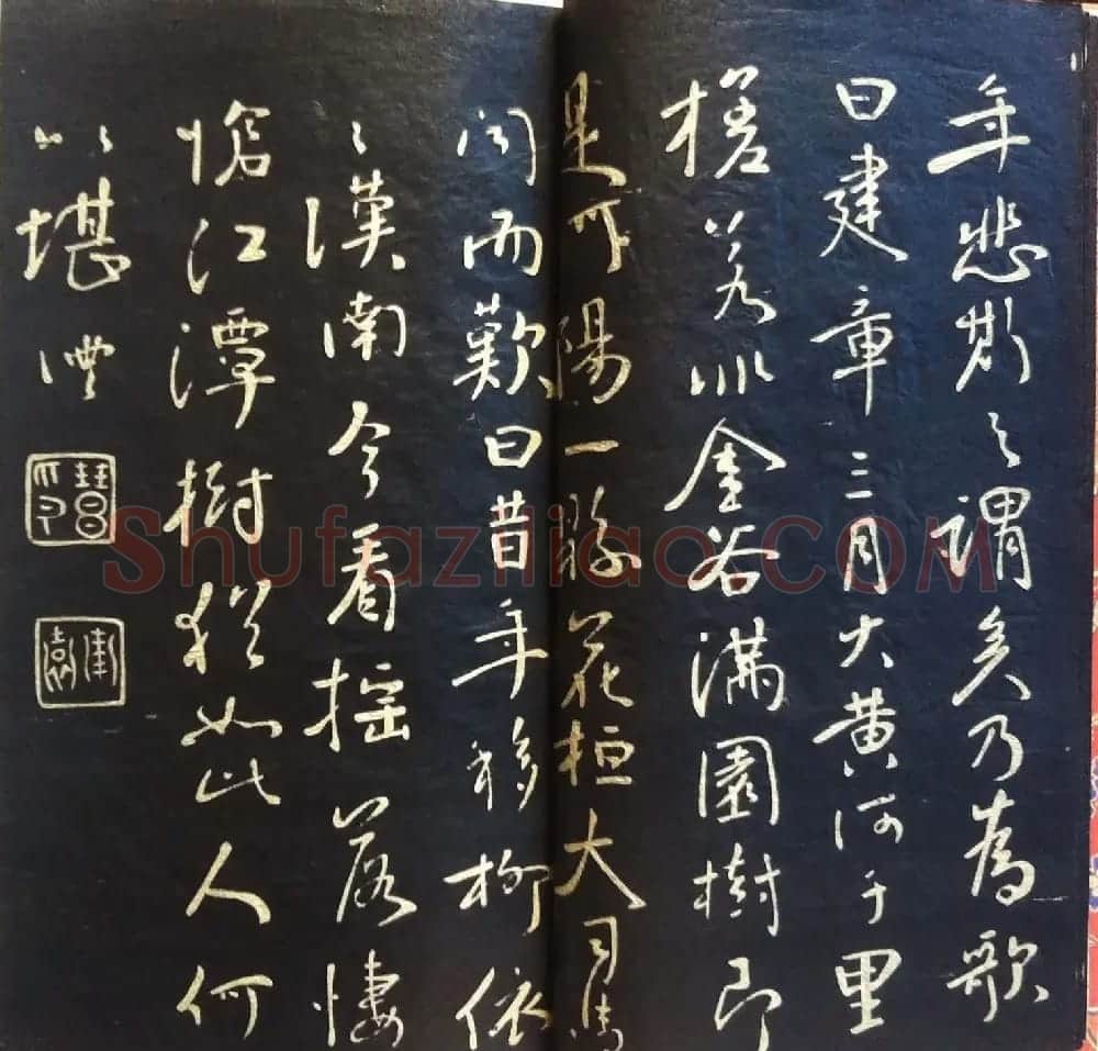 兰新家传书法碑帖分享《钱南园枯树赋》 | 毛笔书法作品