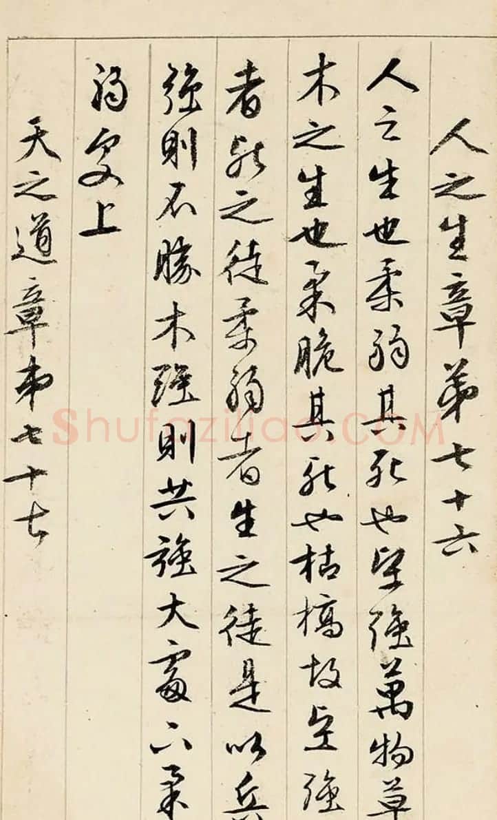文徵明89岁行书《道德经》册页 | 毛笔书法作品