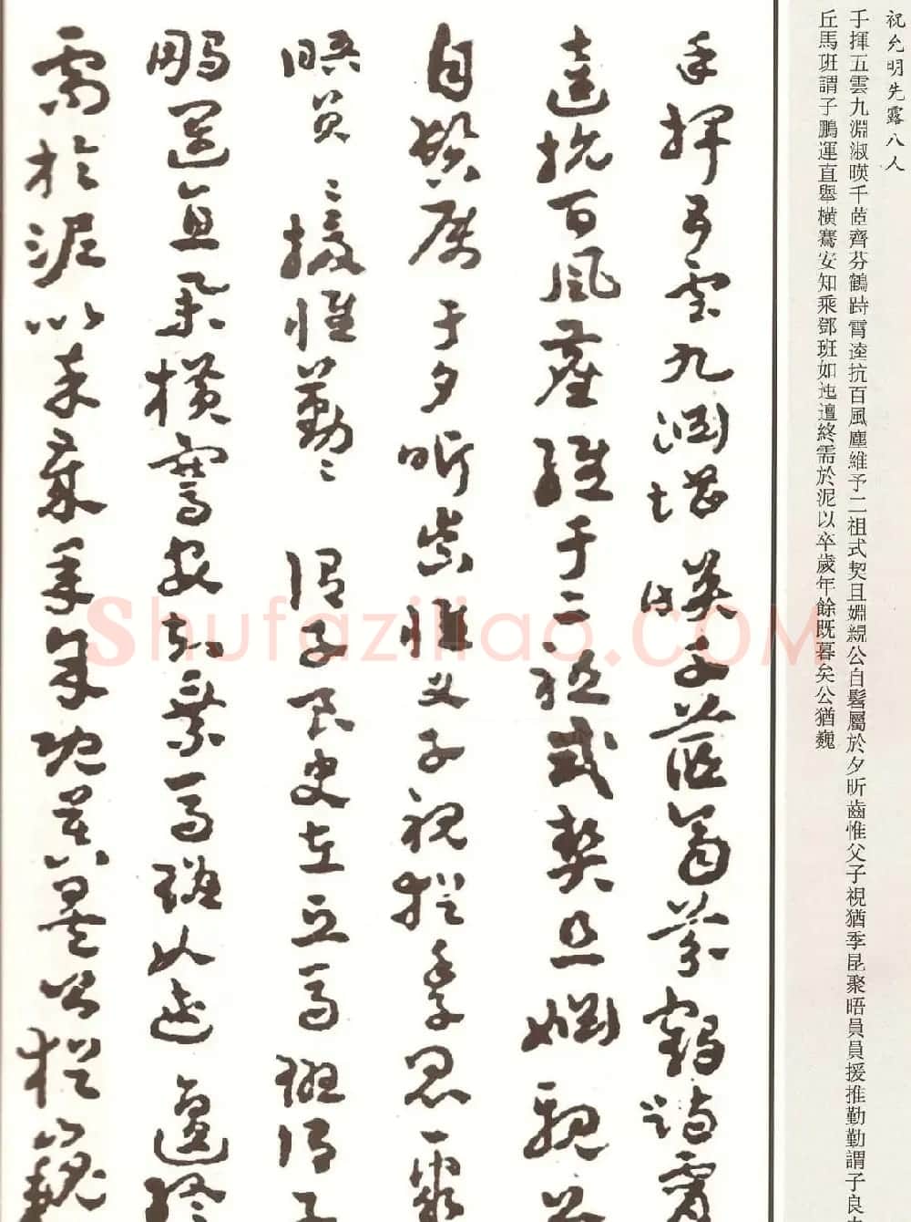 祝允明章草书法作品欣赏《先露八人》 | 名家书法作品赏析