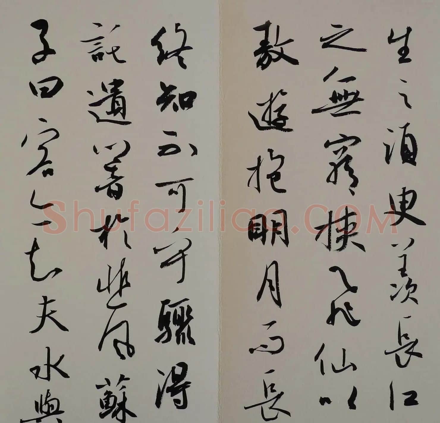 方放书法作品欣赏《苏轼赤壁赋》 | 书法作品欣赏