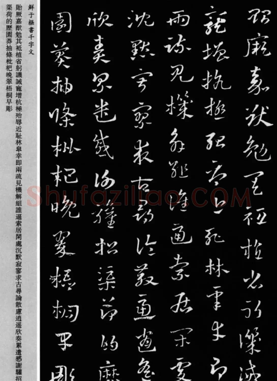 鲜于枢章草书法欣赏《千字文》大图 | 软笔草书字帖