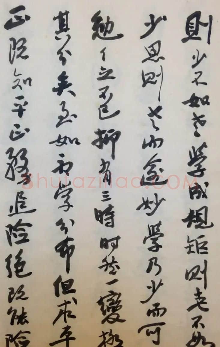 费新我书法册页欣赏《书谱》 | 书法作品欣赏