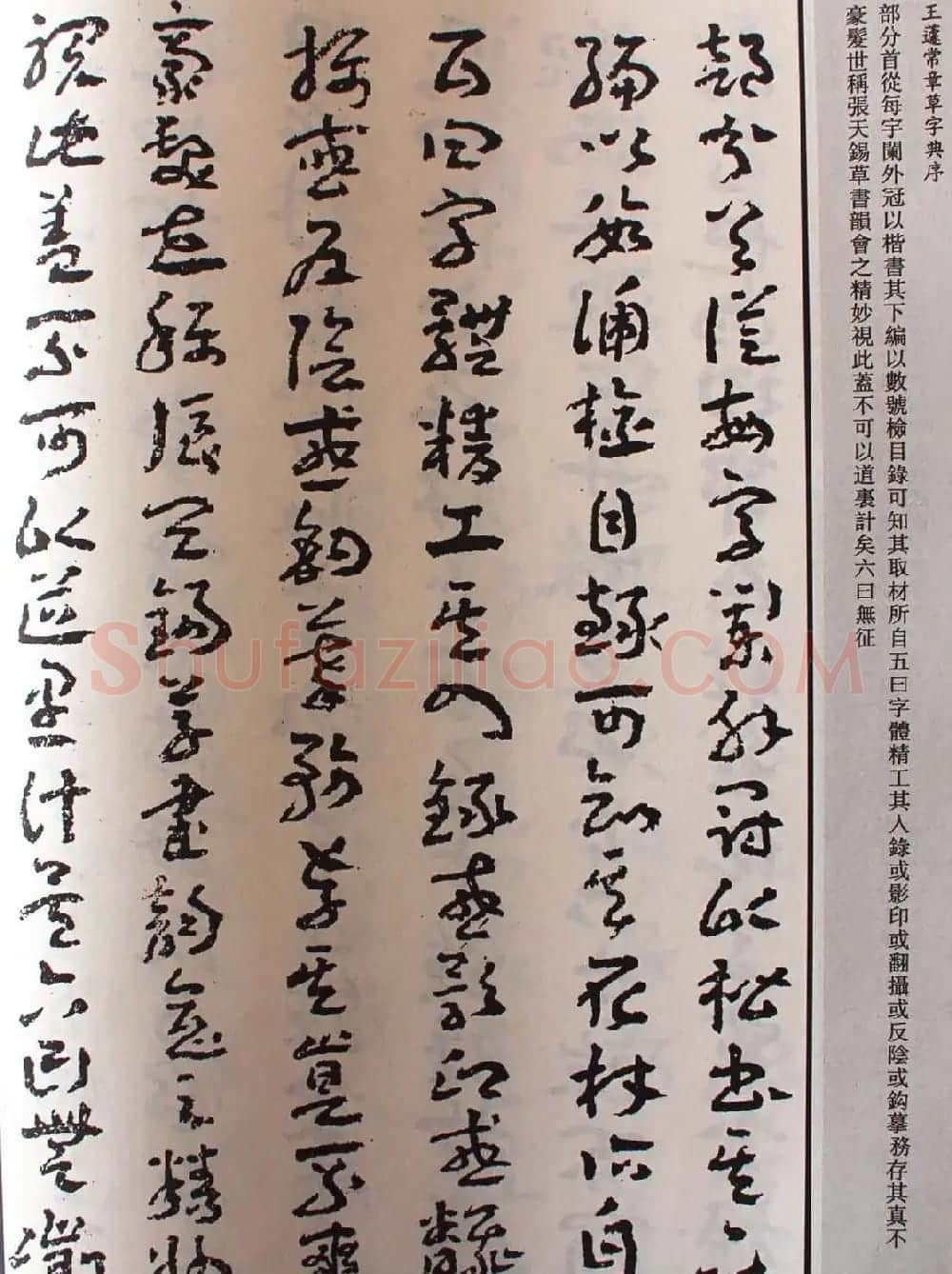 王蘧常草书欣赏《章草字典序》 | 软笔书法作品