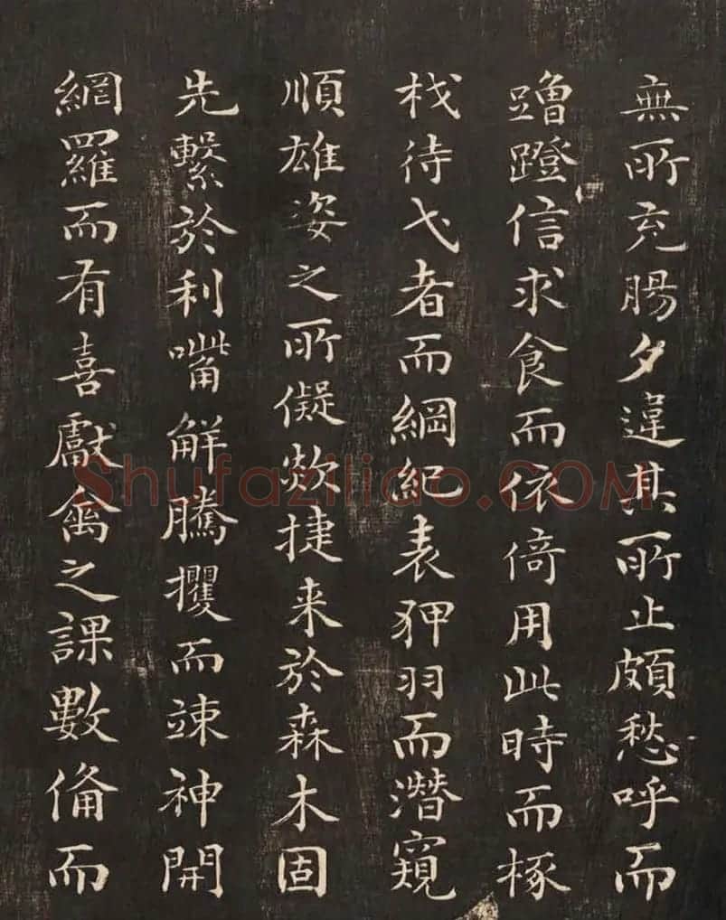 祝允明50岁小楷《雕赋并表》 | 书法碑帖