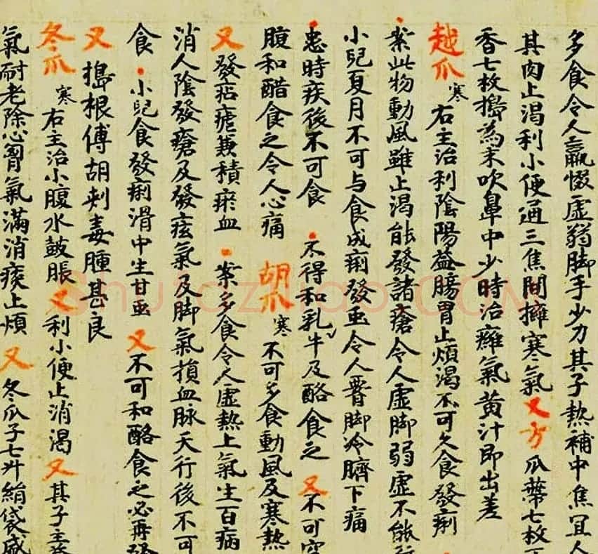 敦煌遗书墨迹--食疗药书残卷 | 敦煌写经赏析
