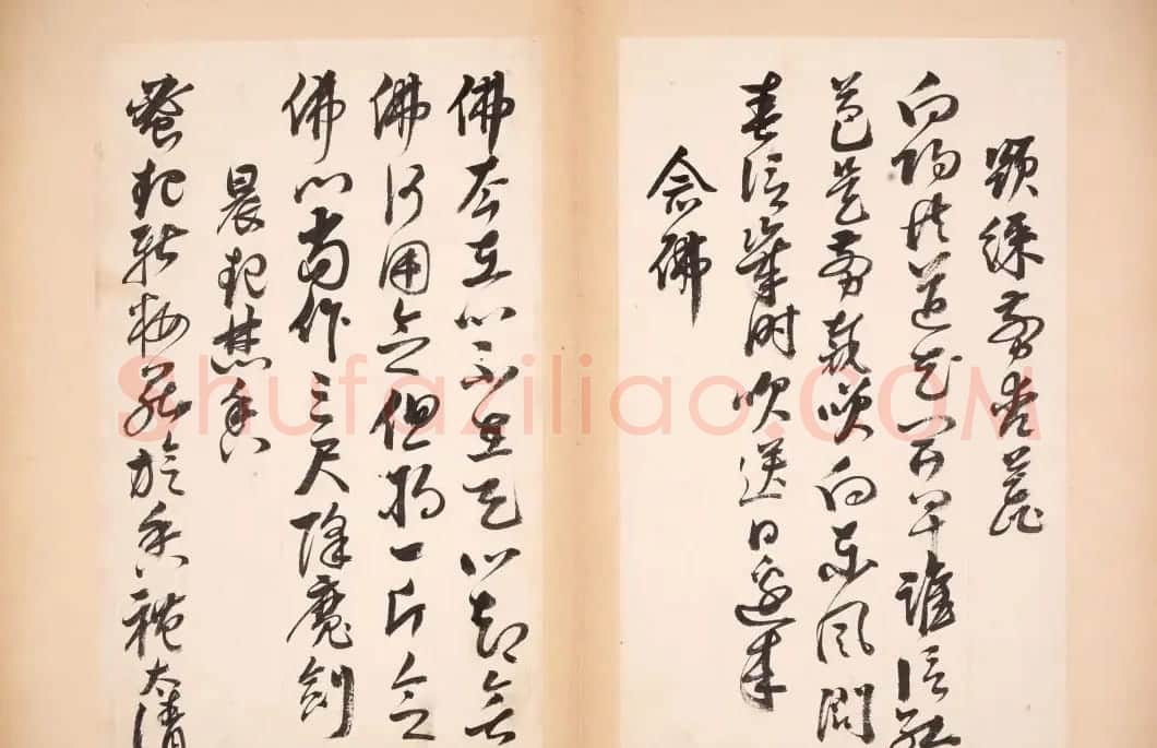 明代女书画家邢慈静草书欣赏 | 名家书法作品赏析