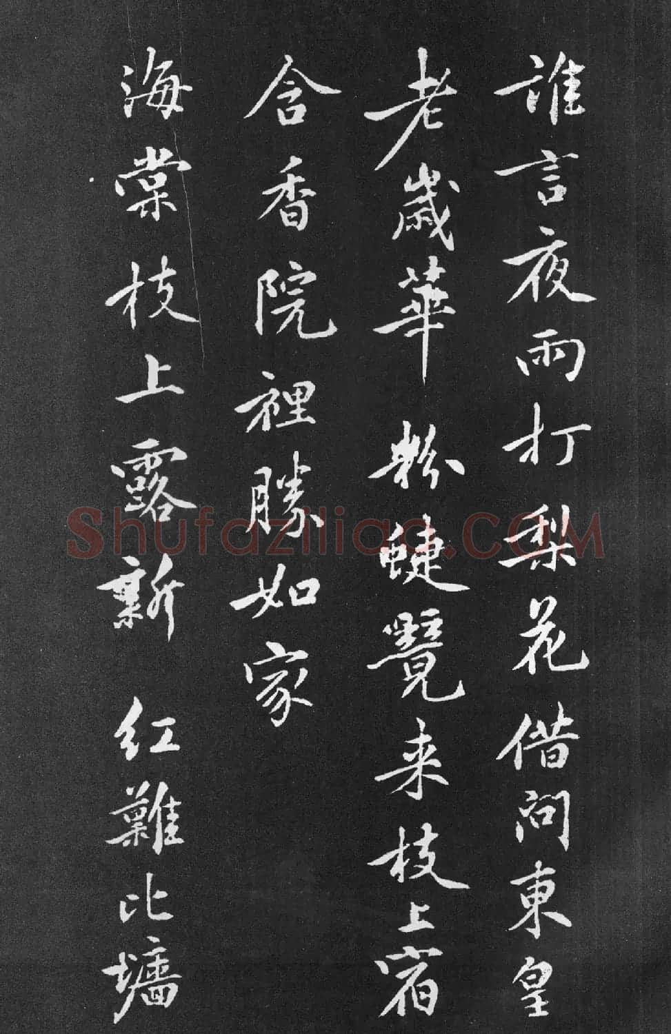 黄庭坚行楷书法《梨花诗》 | 软笔书法作品