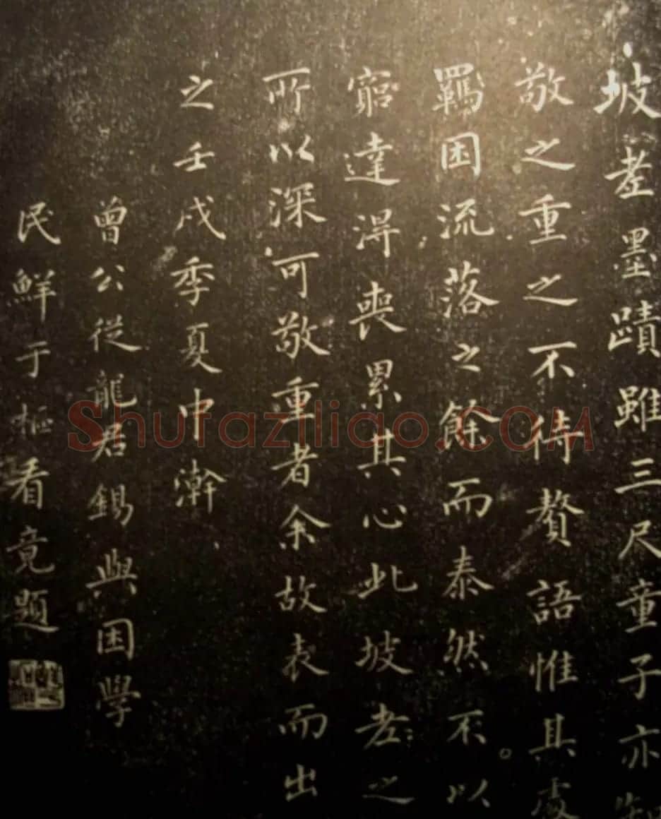 苏轼行书欣赏楚颂帖附跋 | 毛笔书法作品