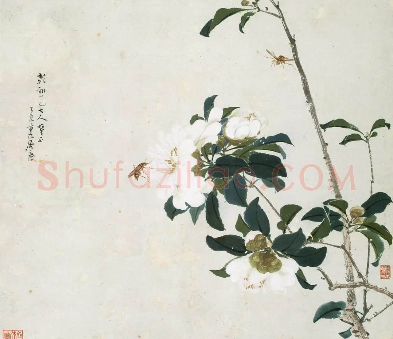 清代居廉花卉虫草册页八开 | 传世书法作品欣赏