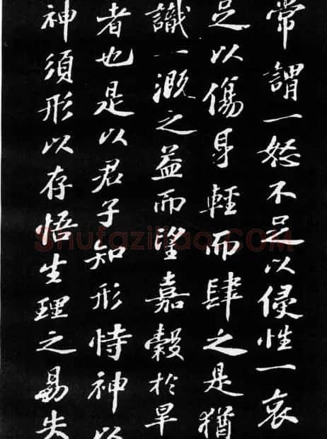 苏轼小楷欣赏《养生论》拓本 | 软笔书法作品