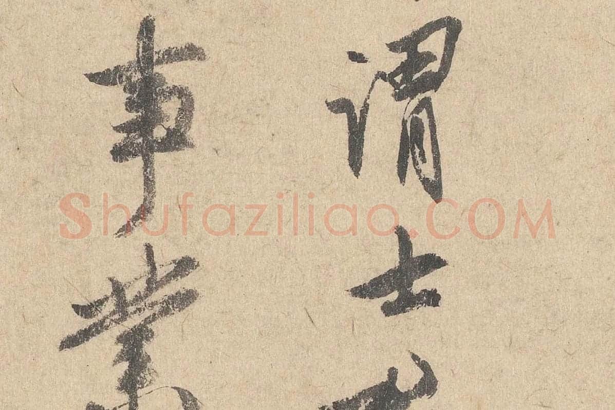司马垔行草书法《跋道服赞》局部 (2)
