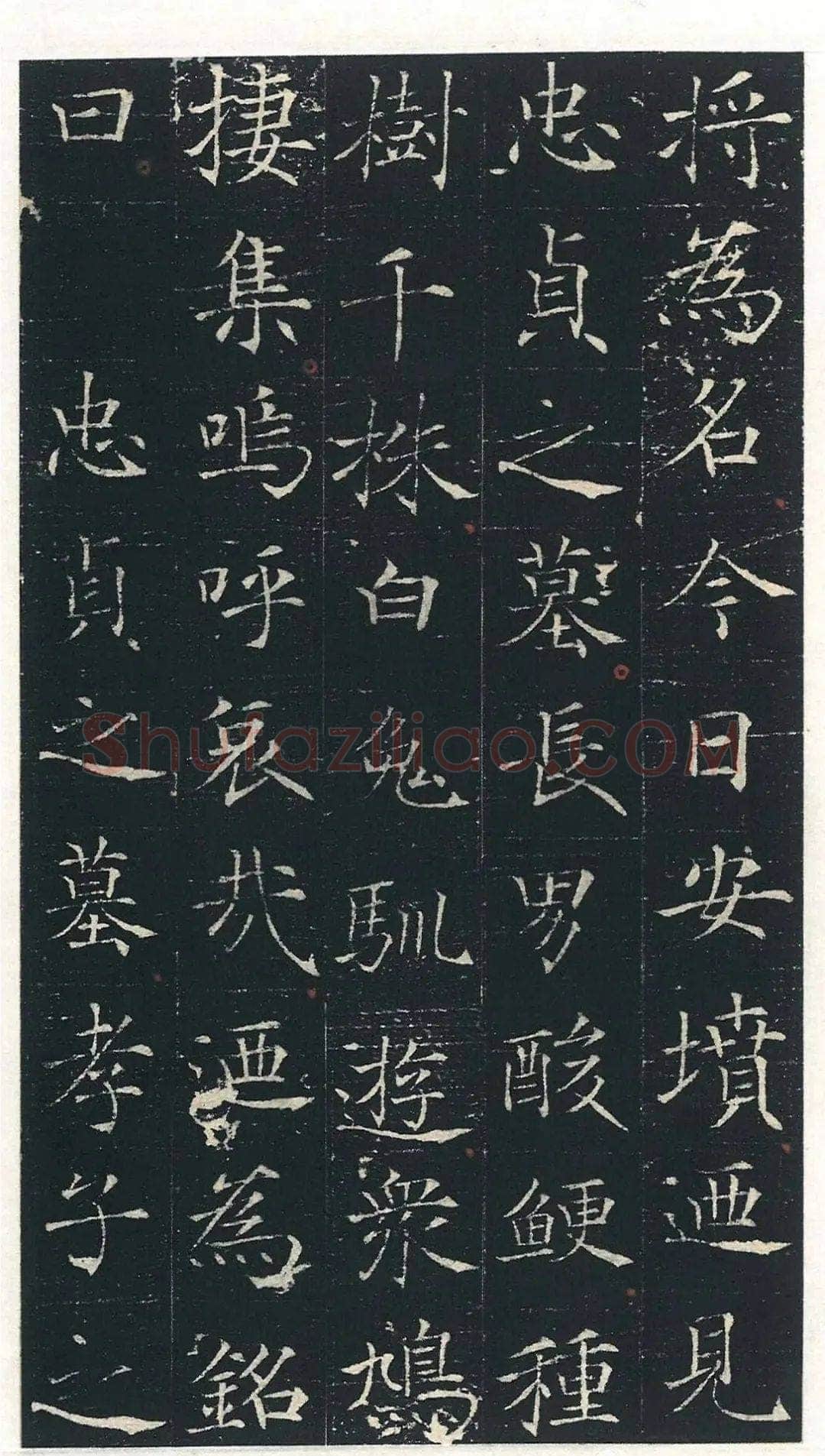 马府君夫人墓志铭