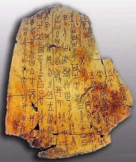 篆书书法知识,篆书的源流及发展 甲骨文