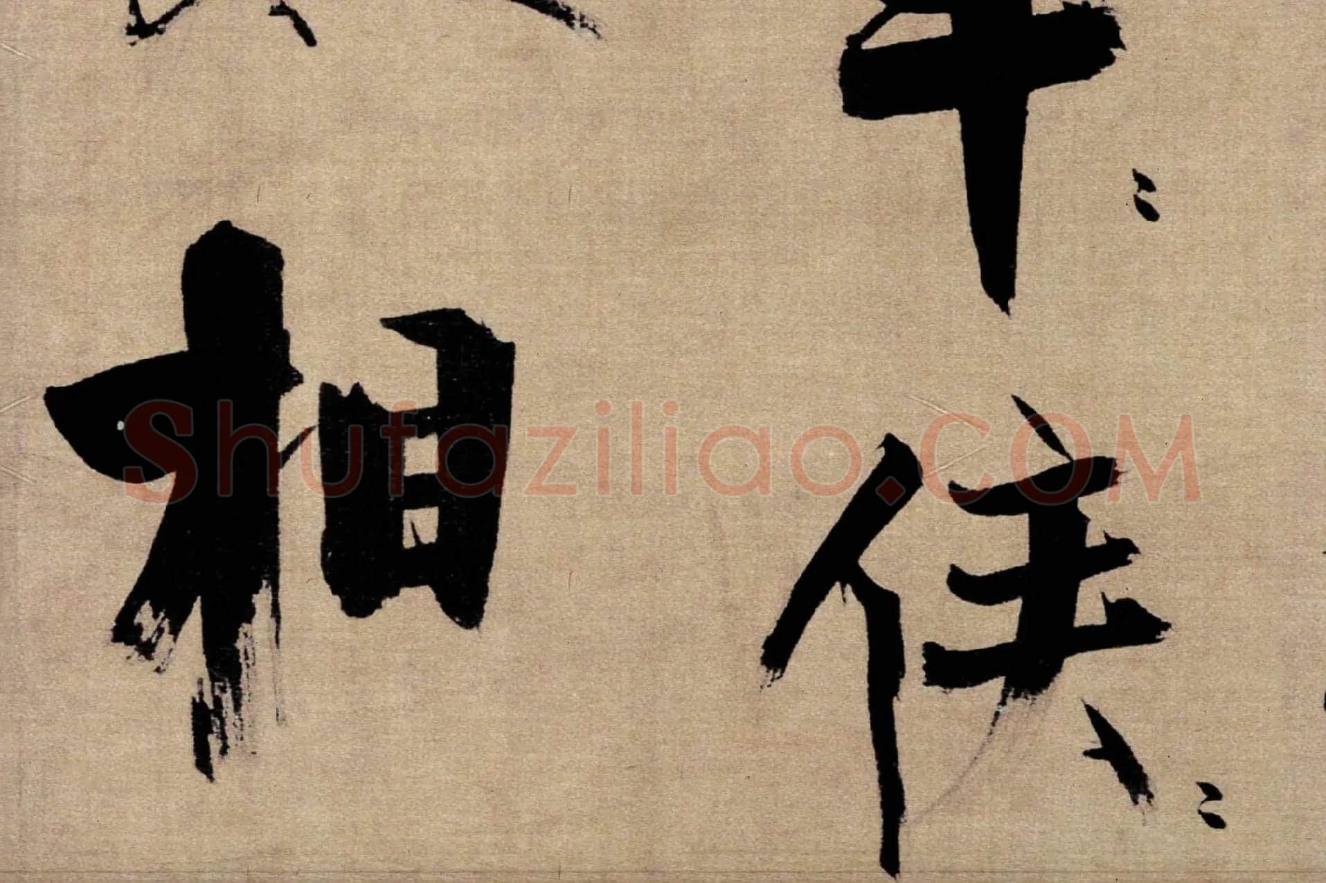 张即之行书《双松图歌》局部 (5)
