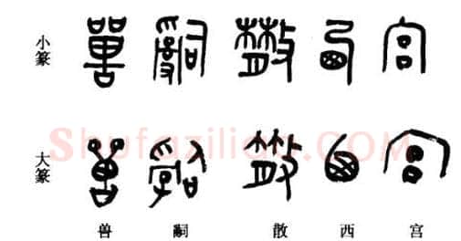 篆书书法知识,小篆和大篆的特点