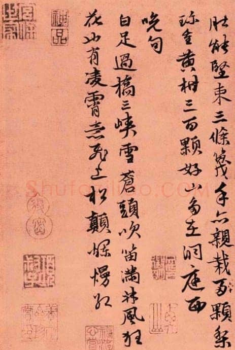 张雨《自书杂诗册》粉花笺 23.7×15.3cm 至正五年(1345)上海博物馆藏