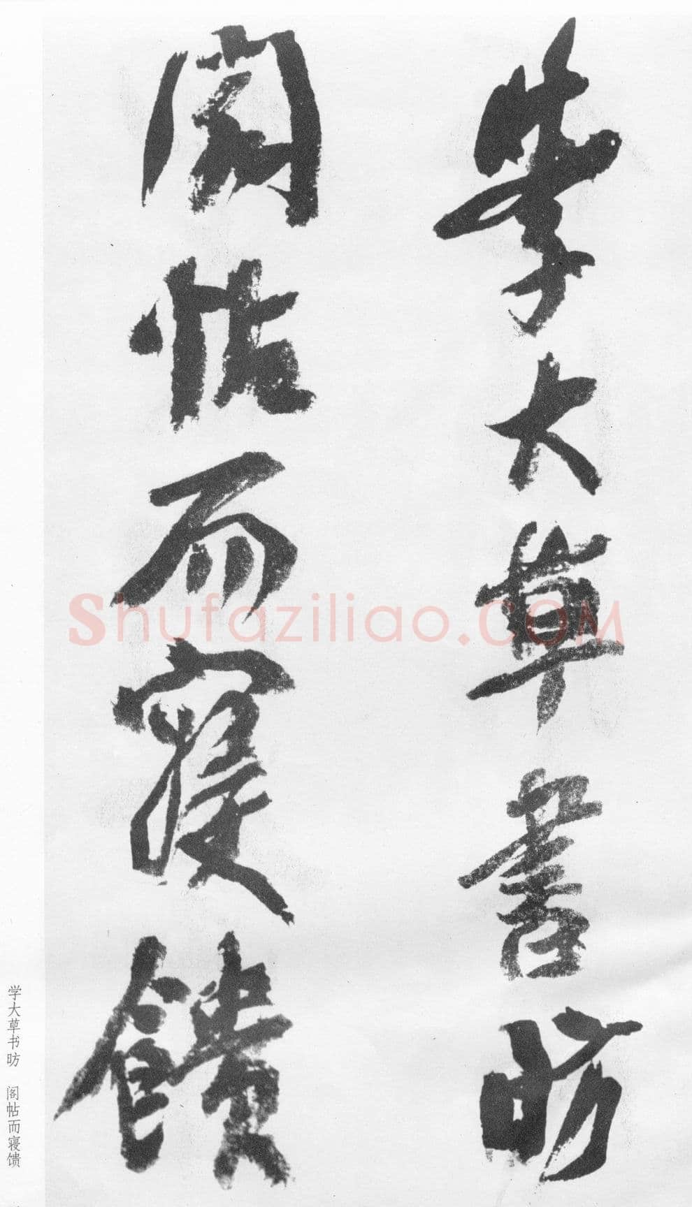 蒲华《跋张旭率意帖》