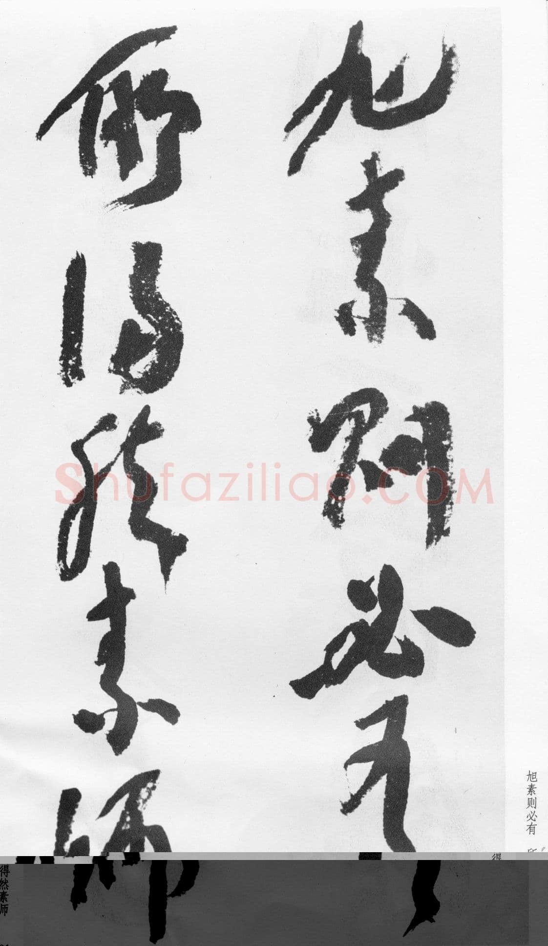 蒲华《跋张旭率意帖》