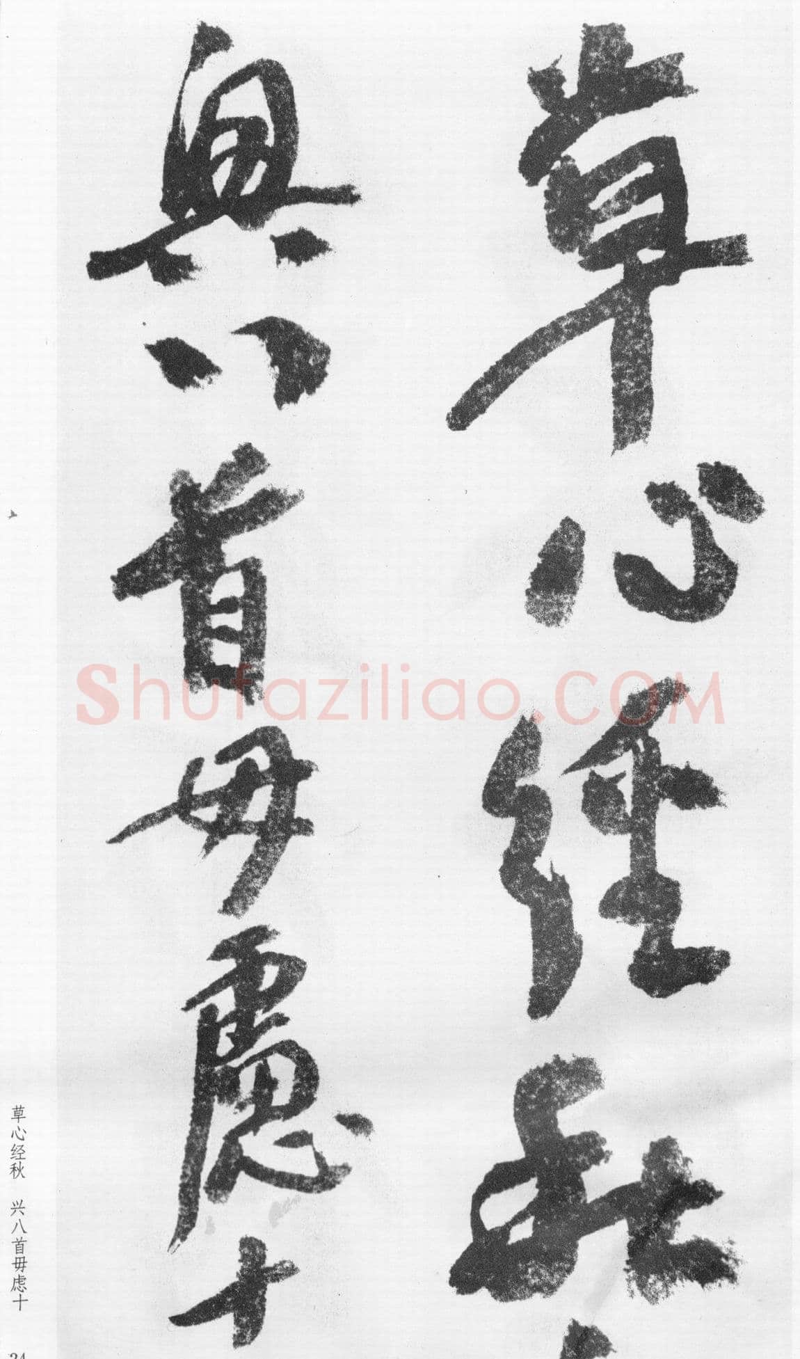 蒲华《跋张旭率意帖》