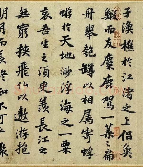 苏轼行楷书《前赤壁赋》全卷_11