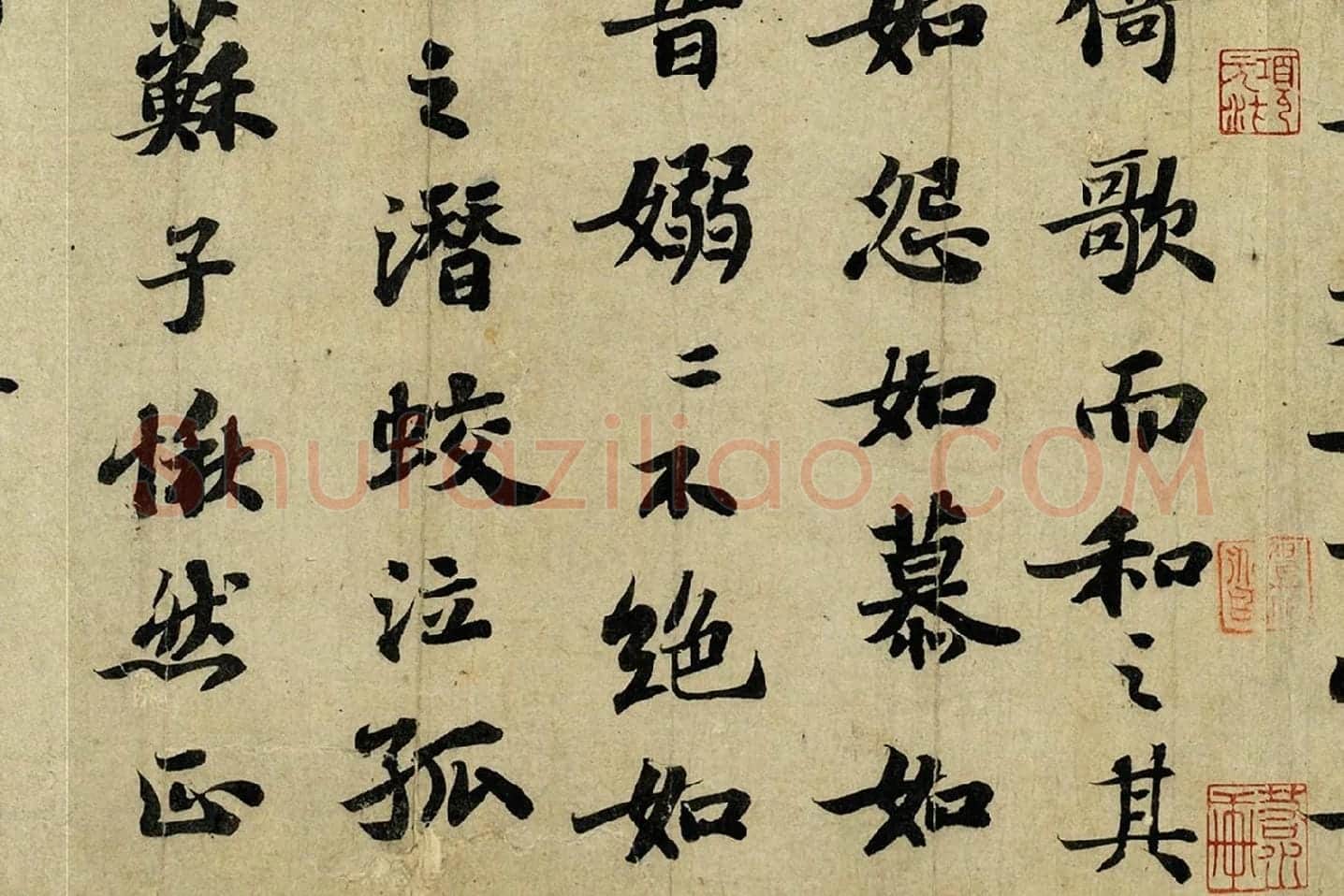 苏轼行楷书《前赤壁赋》高清局部 (4)