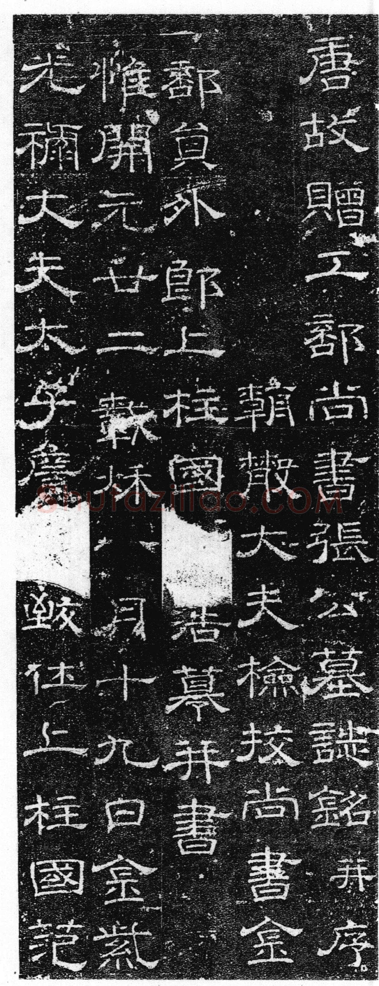 徐浩《张庭珪墓志》隶书