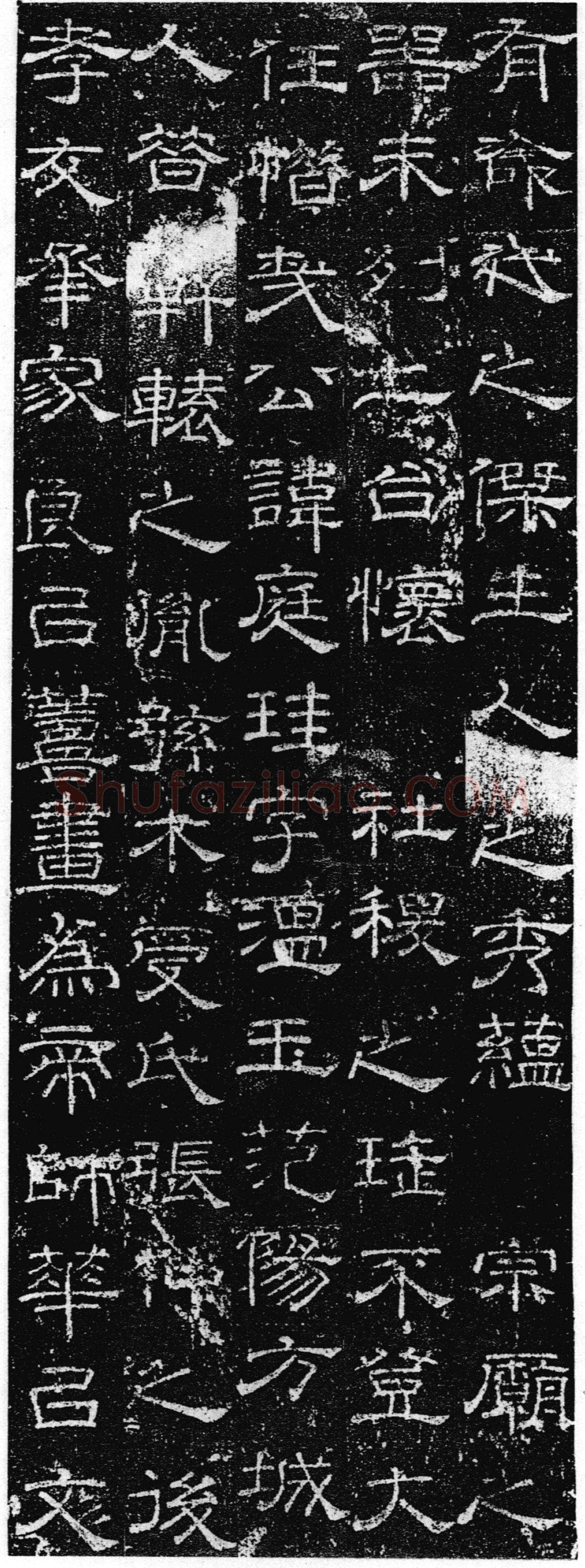 徐浩《张庭珪墓志》隶书