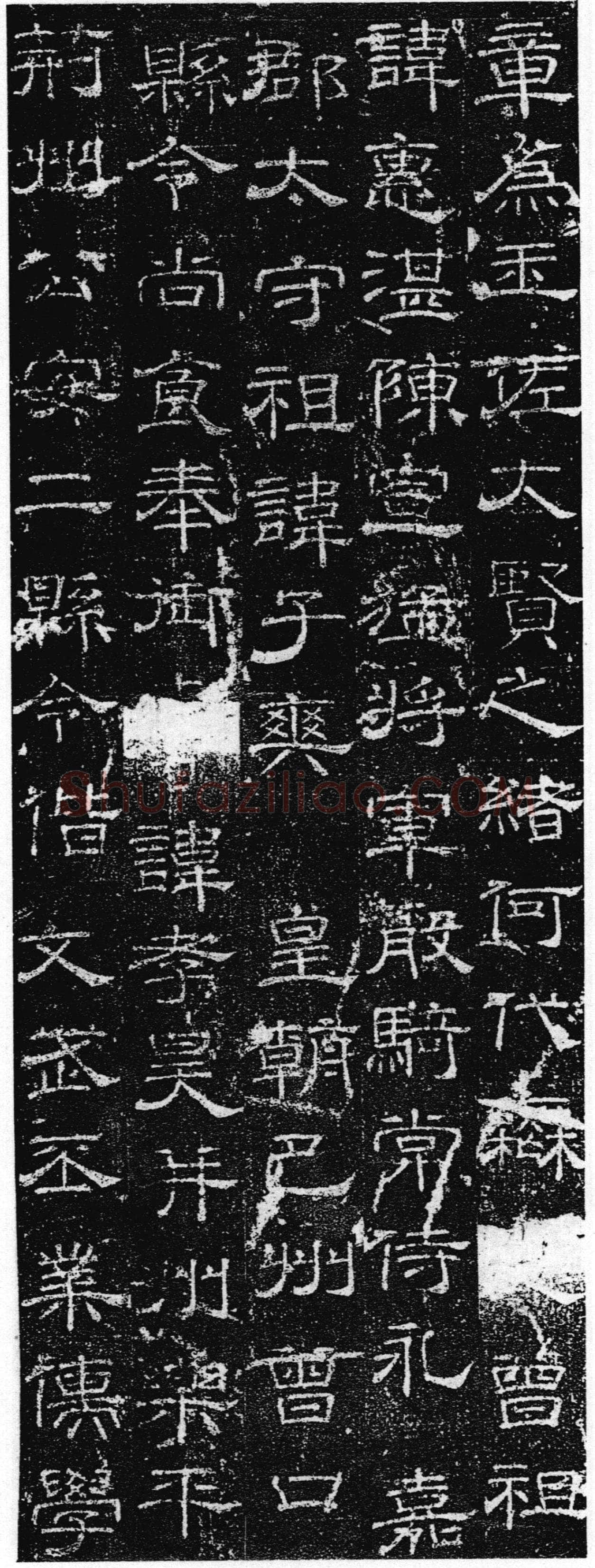 徐浩《张庭珪墓志》隶书